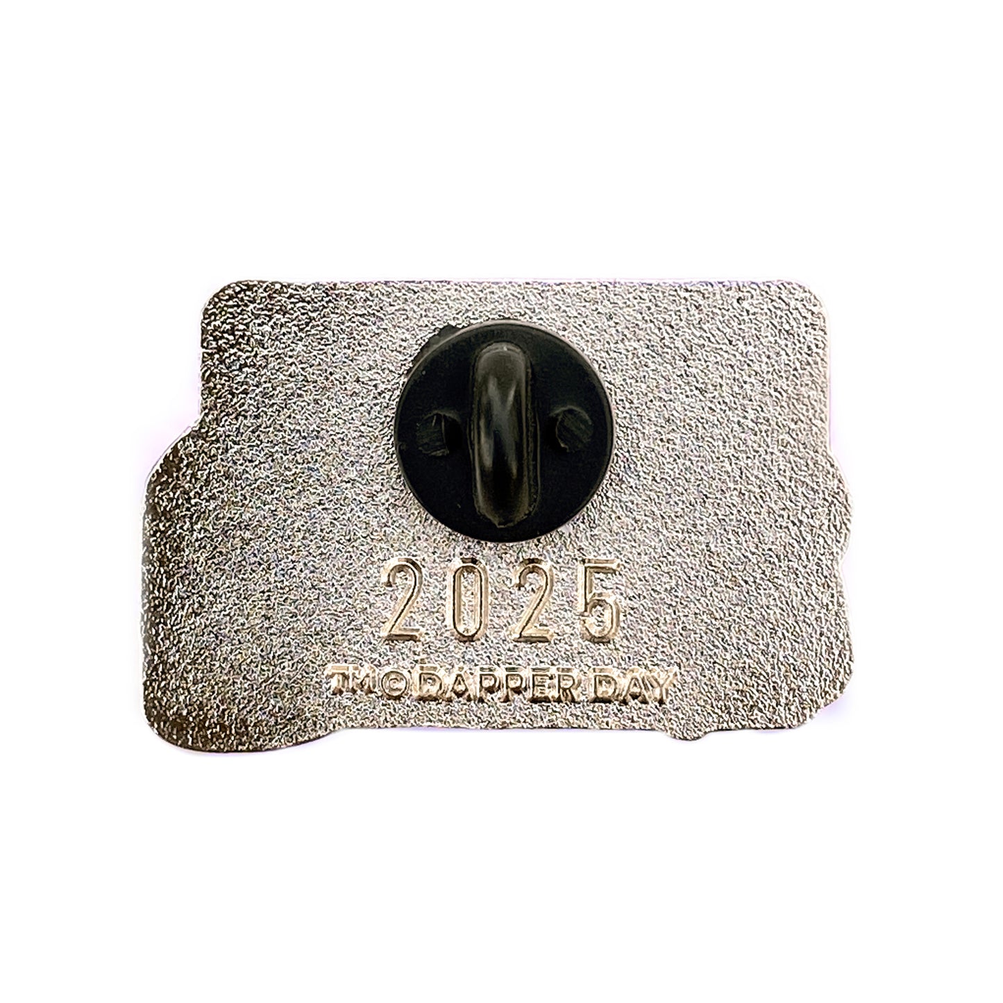 Streamliner Train Pin