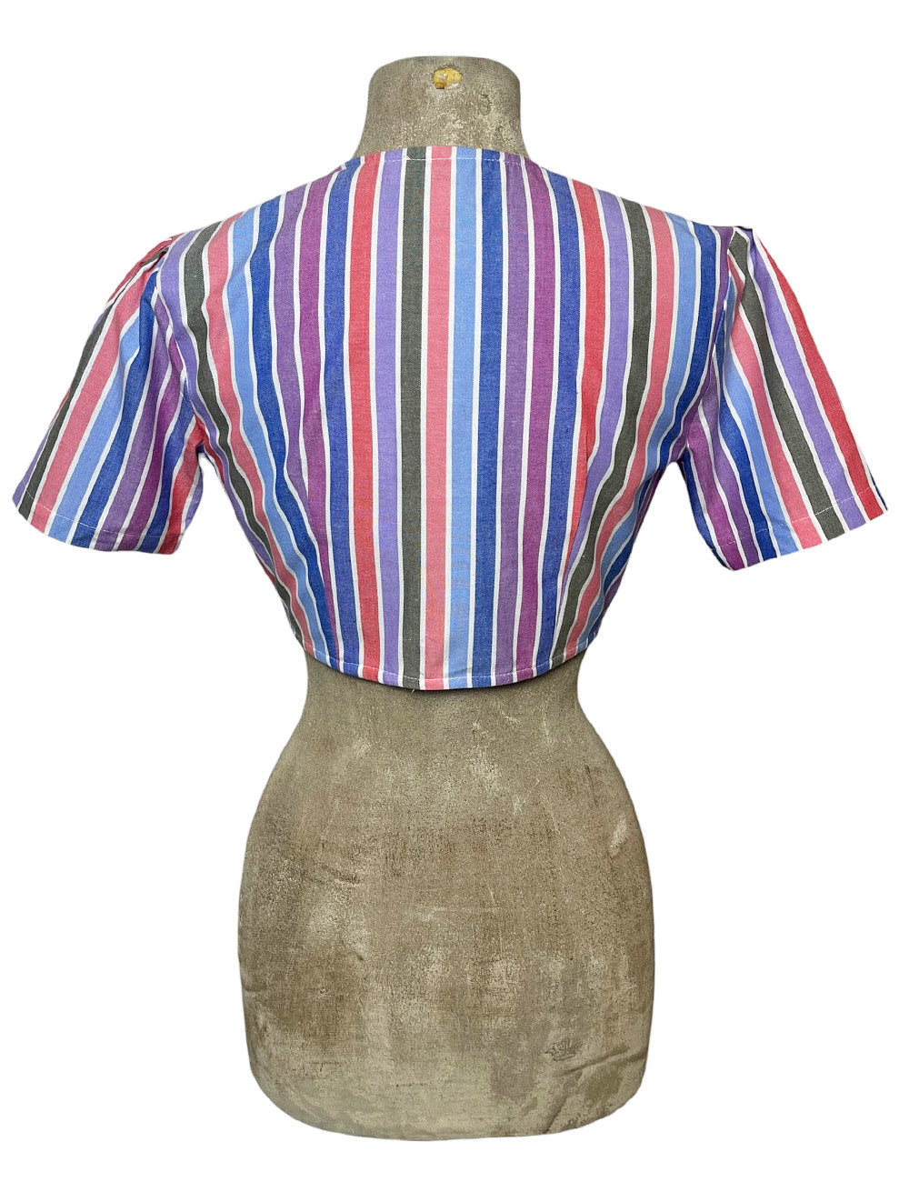 Scout 40s Colorful Cabana Stripe Daisy Crop Top